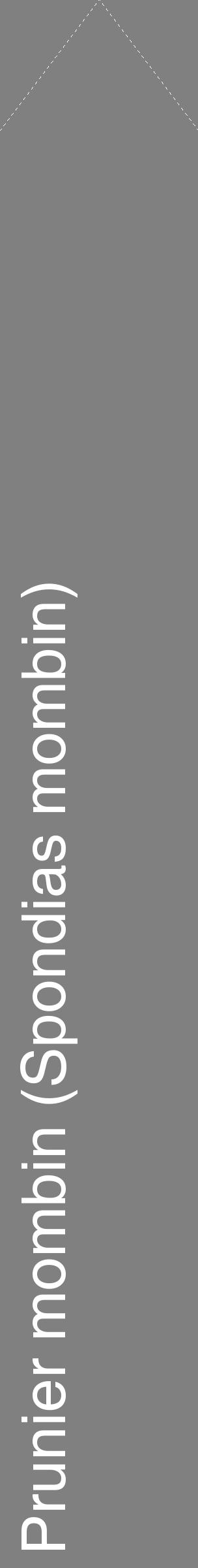 Étiquette de : Spondias mombin - format c - style blanche57_simplehel avec comestibilité