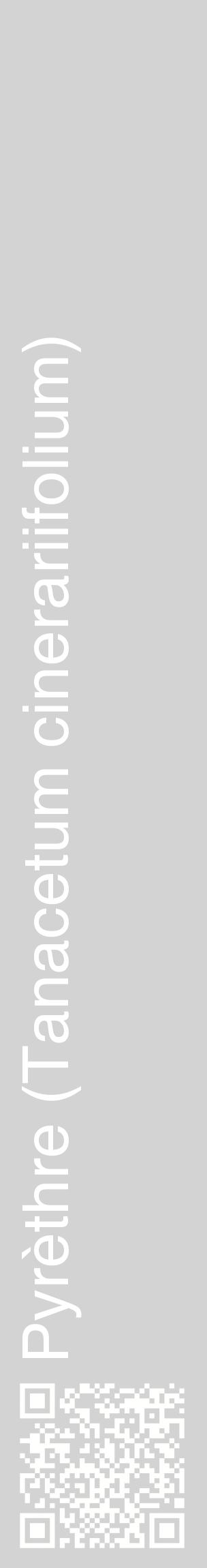 Étiquette de : Tanacetum cinerariifolium - format c - style blanche56_basiquehel avec qrcode et comestibilité
