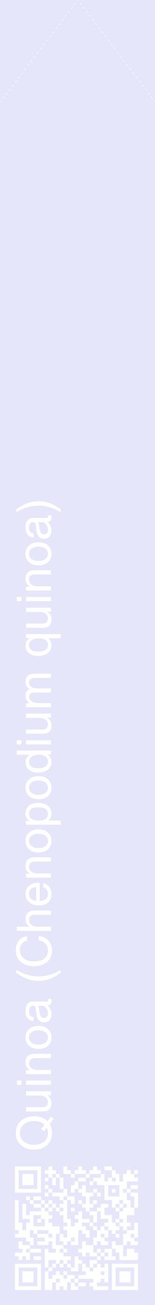 Étiquette de : Chenopodium quinoa - format c - style blanche55_simplehel avec qrcode et comestibilité