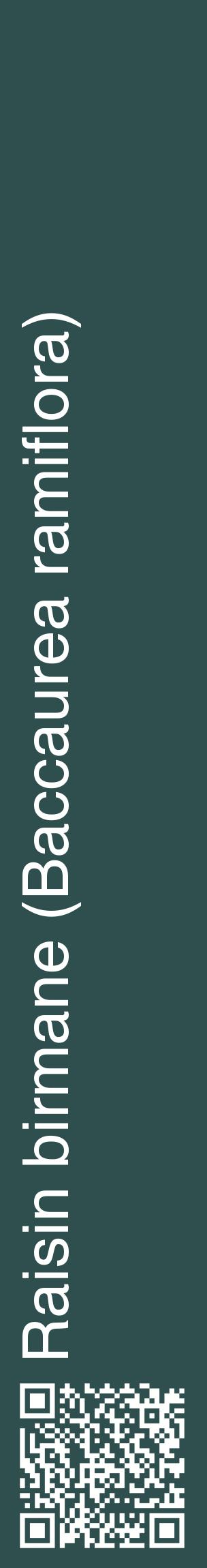 Étiquette de : Baccaurea ramiflora - format c - style blanche58_basiquehel avec qrcode et comestibilité