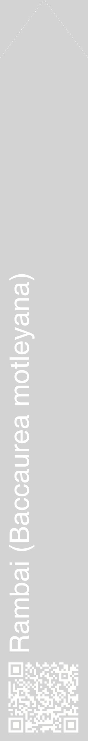Étiquette de : Baccaurea motleyana - format c - style blanche56_simplehel avec qrcode et comestibilité