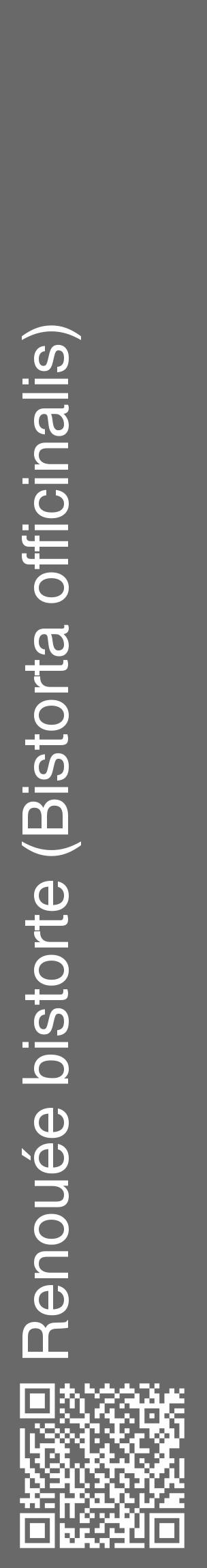 Étiquette de : Bistorta officinalis - format c - style blanche11_basique_basiquehel avec qrcode et comestibilité - position verticale