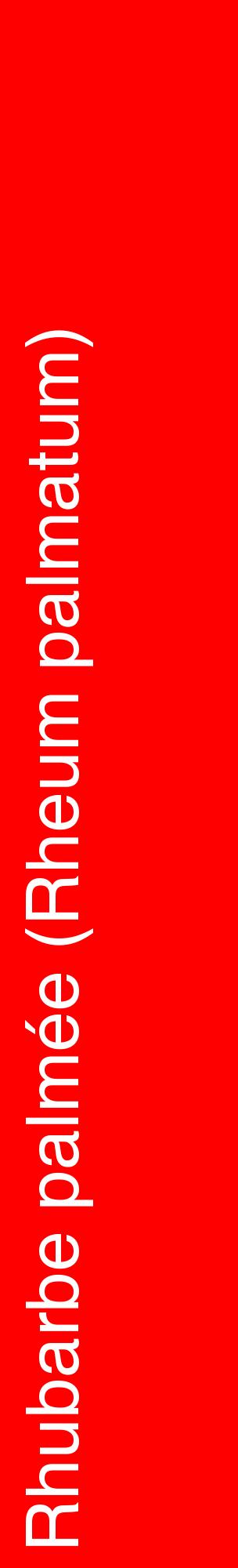 Étiquette de : Rheum palmatum - format c - style blanche27_basiquehel avec comestibilité
