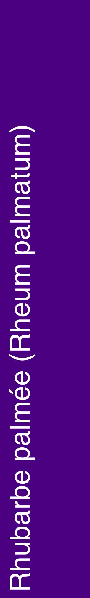 Étiquette de : Rheum palmatum - format c - style blanche47_basiquehel avec comestibilité