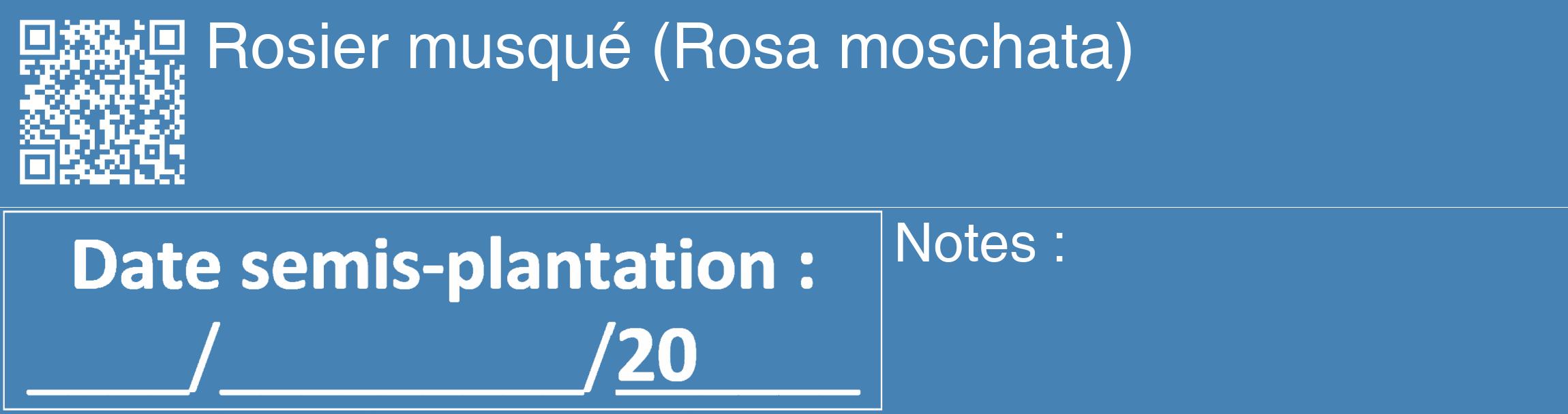 Étiquette de : Rosa moschata - format c - style blanche5_basique_basiquehel avec qrcode et comestibilité