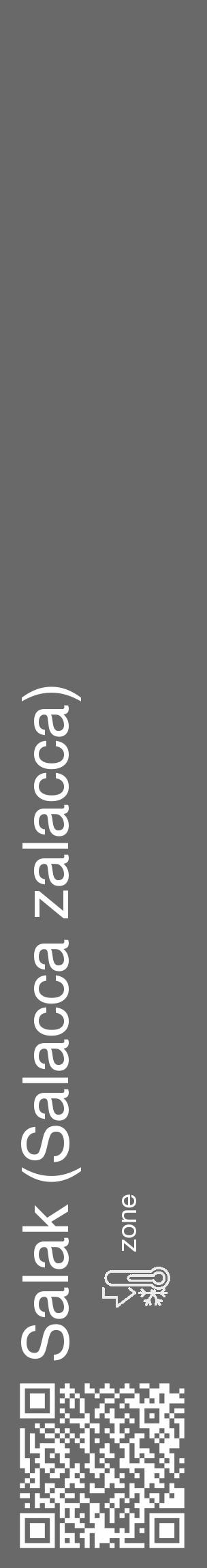 Étiquette de : Salacca zalacca - format c - style blanche11_basique_basiquehel avec qrcode et comestibilité - position verticale