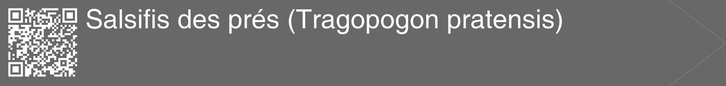 Étiquette de : Tragopogon pratensis - format c - style blanche43_simple_simplehel avec qrcode et comestibilité