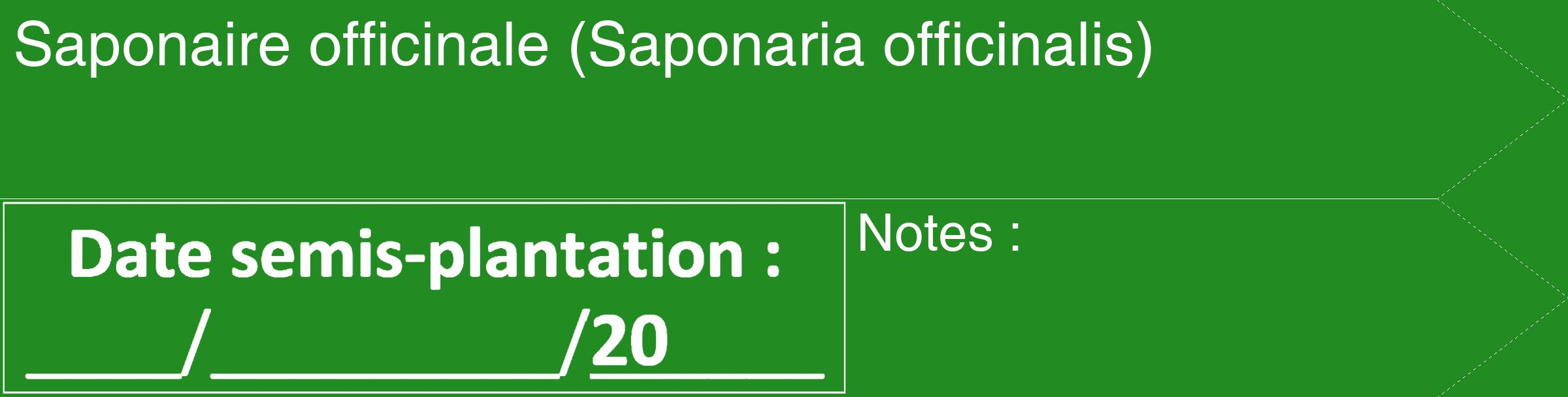 Étiquette de : Saponaria officinalis - format c - style blanche10_simple_simplehel avec comestibilité