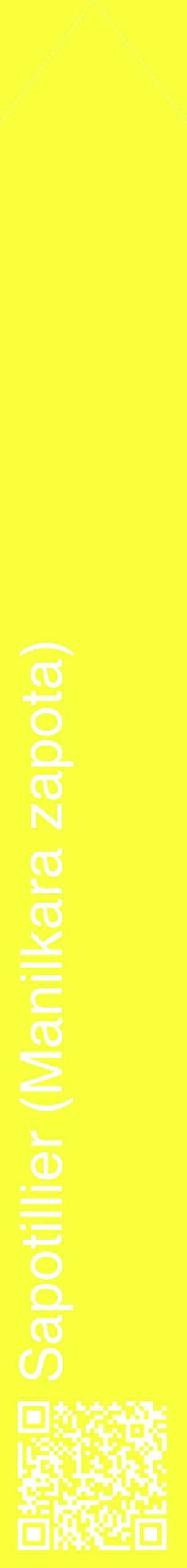 Étiquette de : Manilkara zapota - format c - style blanche18_simplehel avec qrcode et comestibilité