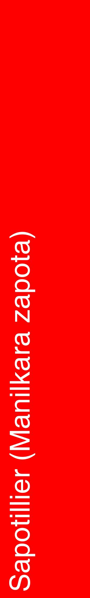 Étiquette de : Manilkara zapota - format c - style blanche27_basiquehel avec comestibilité