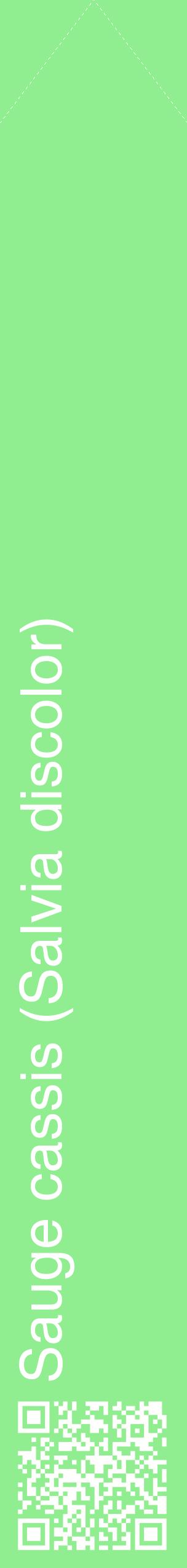 Étiquette de : Salvia discolor - format c - style blanche15_simplehel avec qrcode et comestibilité