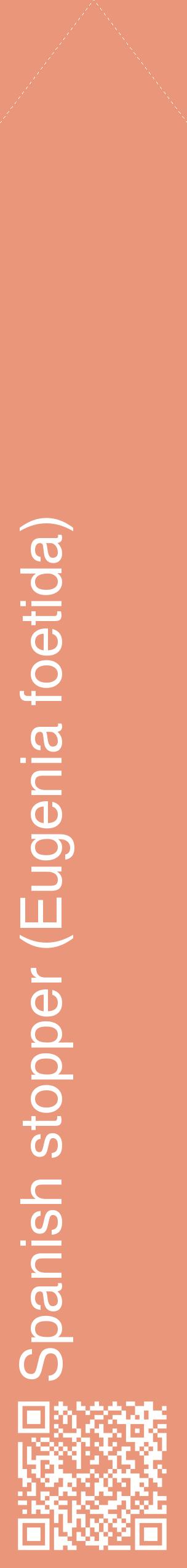 Étiquette de : Eugenia foetida - format c - style blanche37_simplehel avec qrcode et comestibilité