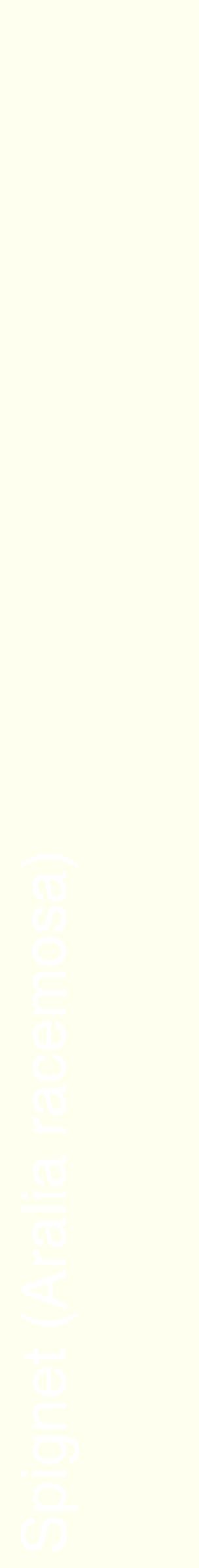 Étiquette de : Aralia racemosa - format c - style blanche19_simplehel avec comestibilité