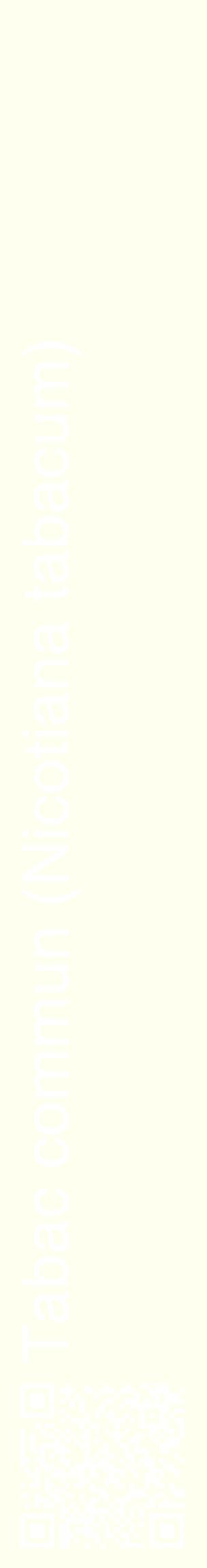 Étiquette de : Nicotiana tabacum - format c - style blanche19_basiquehel avec qrcode et comestibilité