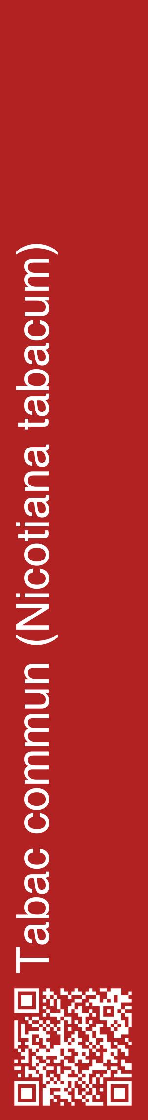 Étiquette de : Nicotiana tabacum - format c - style blanche28_basiquehel avec qrcode et comestibilité