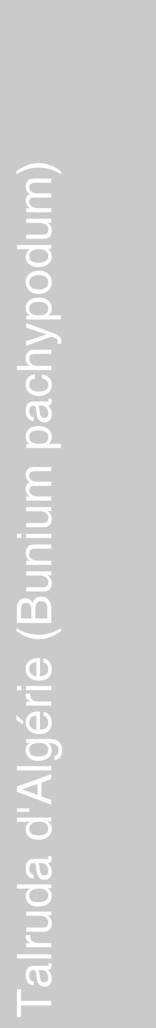 Étiquette de : Bunium pachypodum - format c - style blanche21_basique_basiquehel avec comestibilité - position verticale