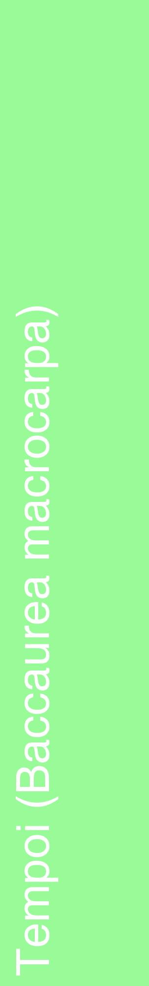 Étiquette de : Baccaurea macrocarpa - format c - style blanche14_basiquehel avec comestibilité