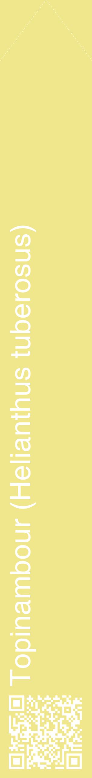 Étiquette de : Helianthus tuberosus - format c - style blanche20_simplehel avec qrcode et comestibilité