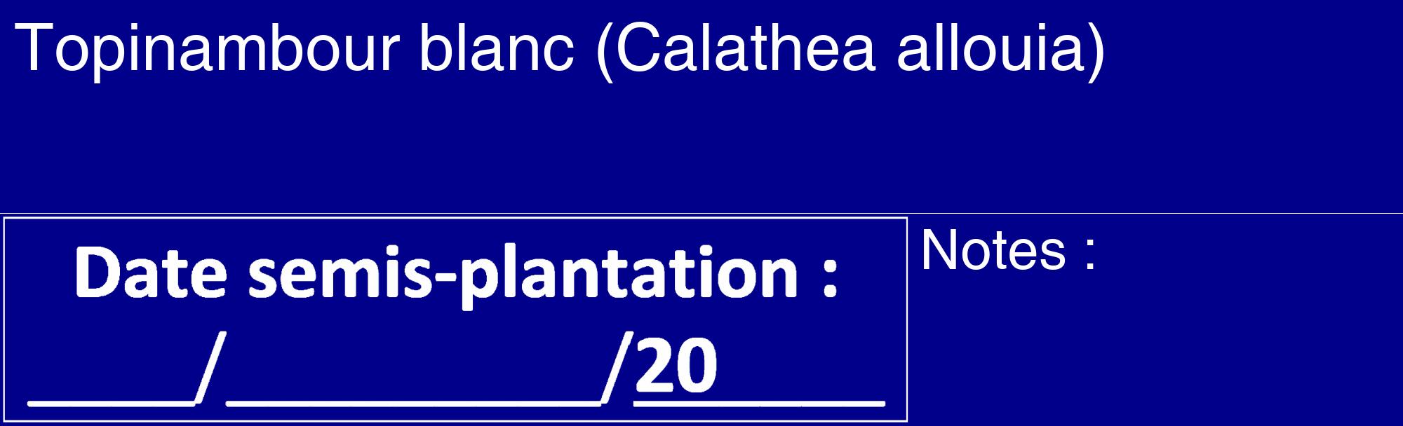 Étiquette de : Calathea allouia - format c - style blanche7_basique_basiquehel avec comestibilité