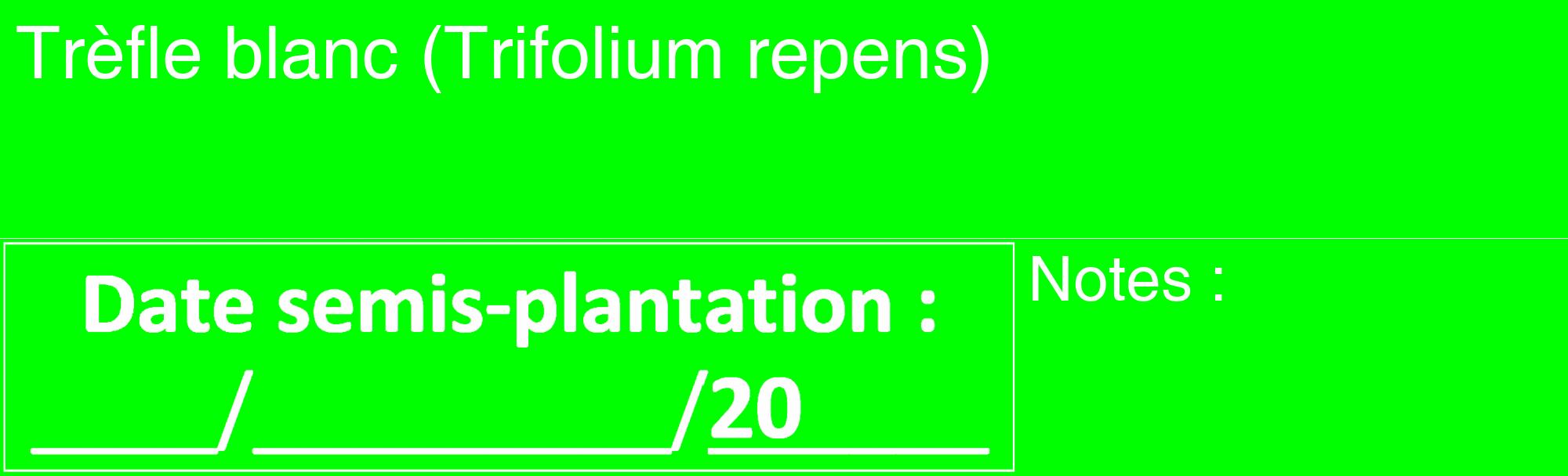 Étiquette de : Trifolium repens - format c - style blanche16_basique_basiquehel avec comestibilité