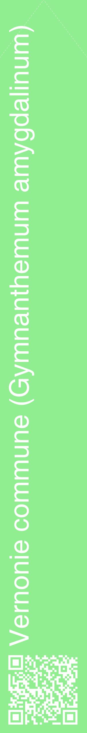 Étiquette de : Gymnanthemum amygdalinum - format c - style blanche15_simplehel avec qrcode et comestibilité
