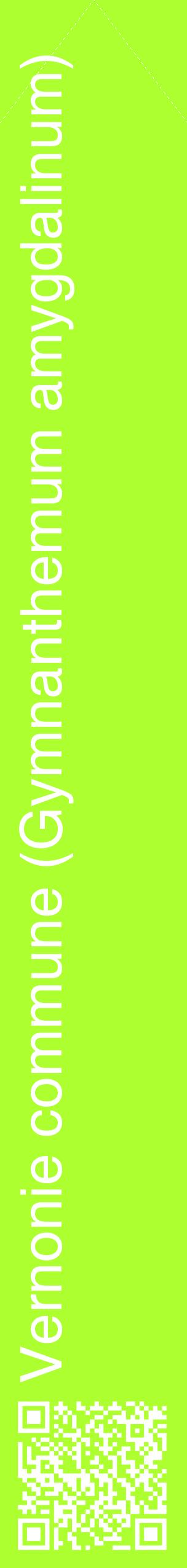 Étiquette de : Gymnanthemum amygdalinum - format c - style blanche17_simplehel avec qrcode et comestibilité