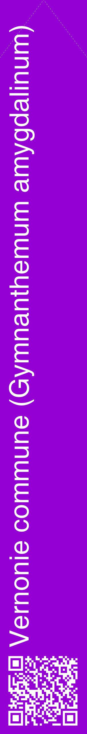 Étiquette de : Gymnanthemum amygdalinum - format c - style blanche48_simplehel avec qrcode et comestibilité