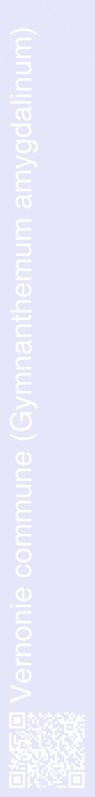Étiquette de : Gymnanthemum amygdalinum - format c - style blanche55_simplehel avec qrcode et comestibilité