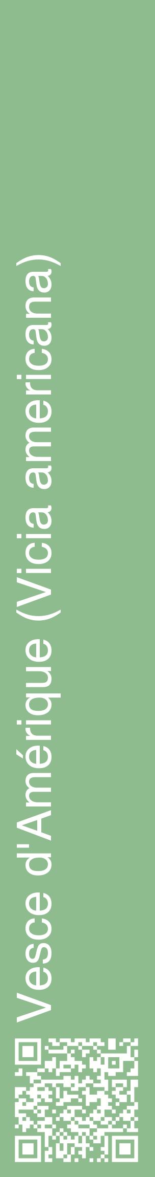 Étiquette de : Vicia americana - format c - style blanche13_basiquehel avec qrcode et comestibilité