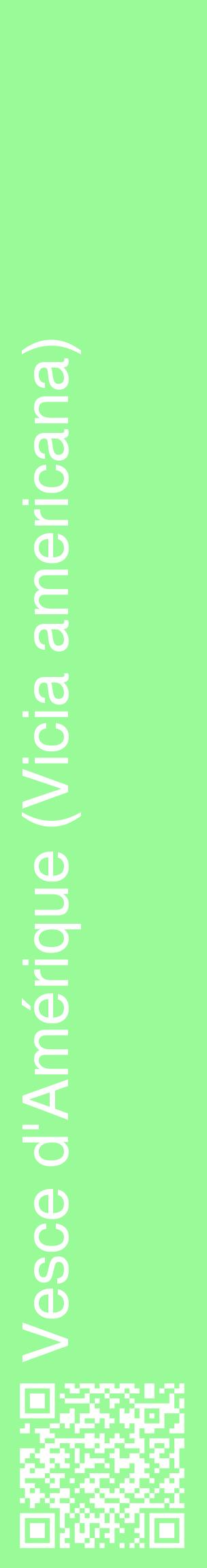 Étiquette de : Vicia americana - format c - style blanche14_basiquehel avec qrcode et comestibilité