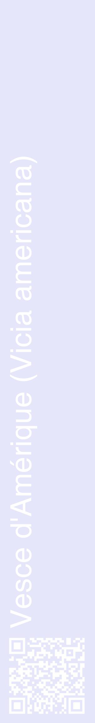 Étiquette de : Vicia americana - format c - style blanche55_basiquehel avec qrcode et comestibilité