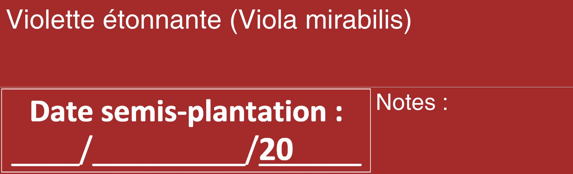 Étiquette de : Viola mirabilis - format c - style blanche33_basique_basiquehel avec comestibilité
