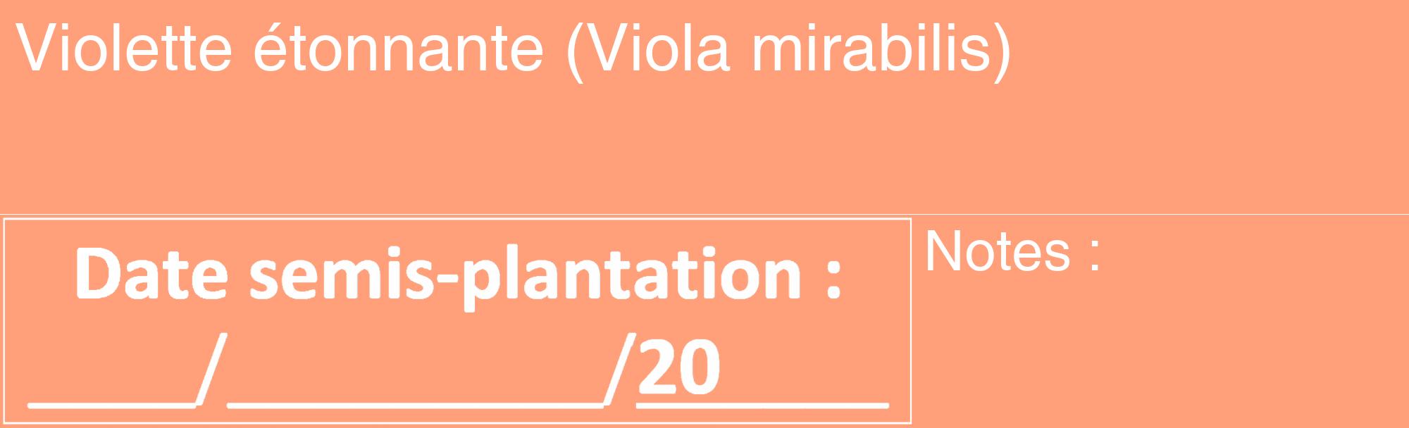 Étiquette de : Viola mirabilis - format c - style blanche39_basique_basiquehel avec comestibilité