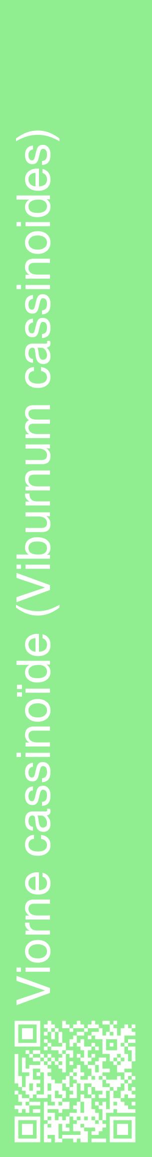 Étiquette de : Viburnum cassinoides - format c - style blanche15_basiquehel avec qrcode et comestibilité