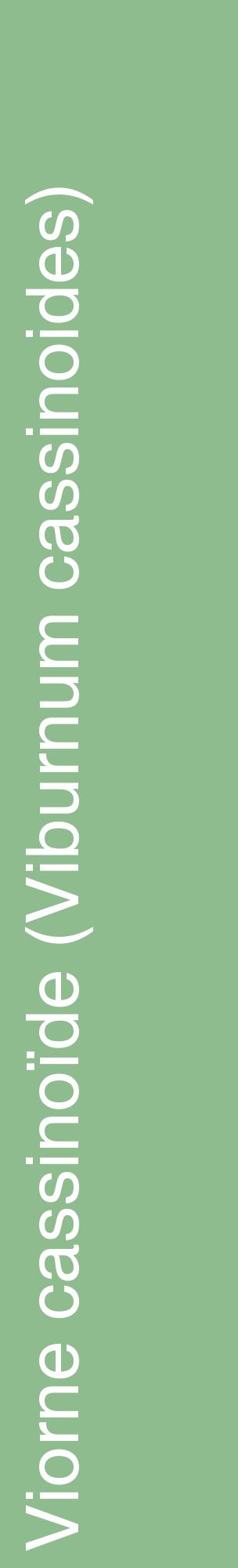 Étiquette de : Viburnum cassinoides - format c - style blanche13_basiquehel avec comestibilité
