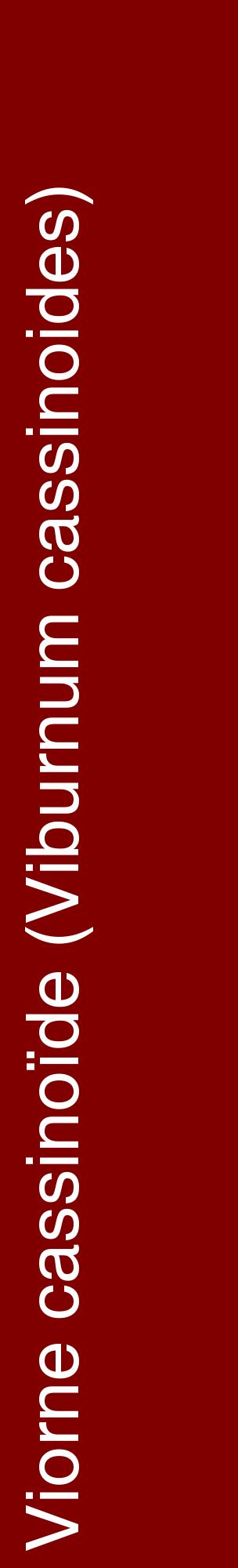 Étiquette de : Viburnum cassinoides - format c - style blanche29_basiquehel avec comestibilité