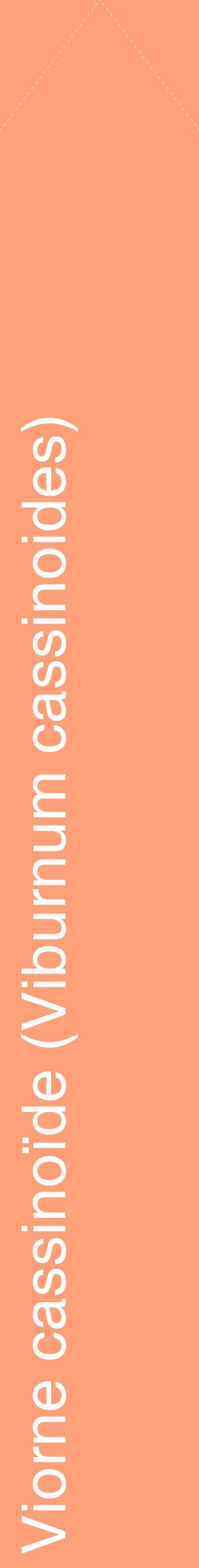 Étiquette de : Viburnum cassinoides - format c - style blanche39_simplehel avec comestibilité