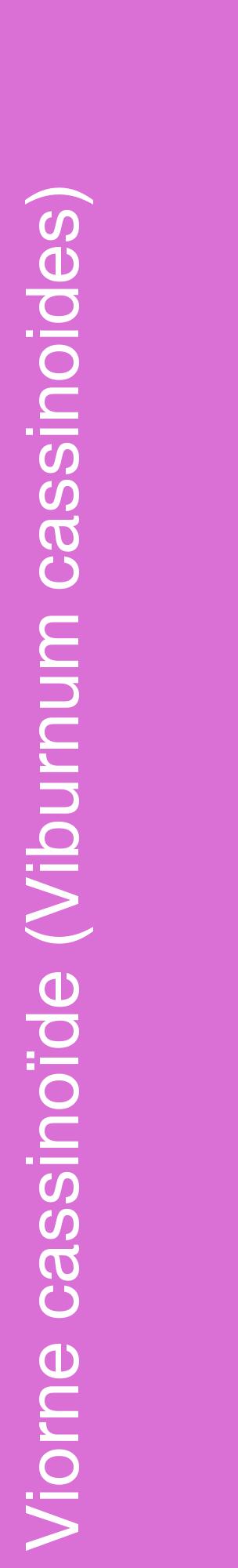 Étiquette de : Viburnum cassinoides - format c - style blanche52_basiquehel avec comestibilité