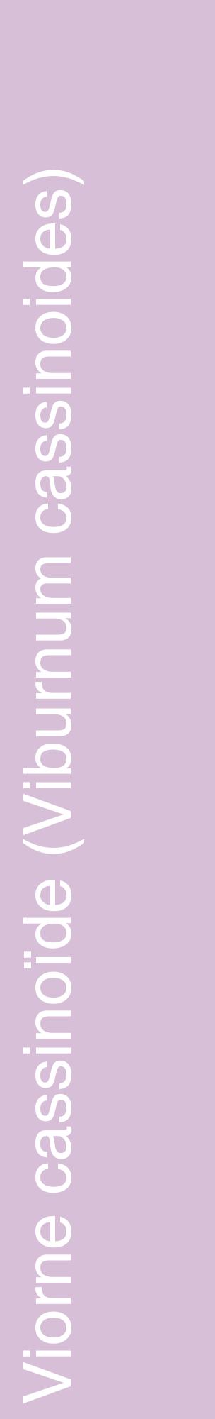 Étiquette de : Viburnum cassinoides - format c - style blanche54_basiquehel avec comestibilité