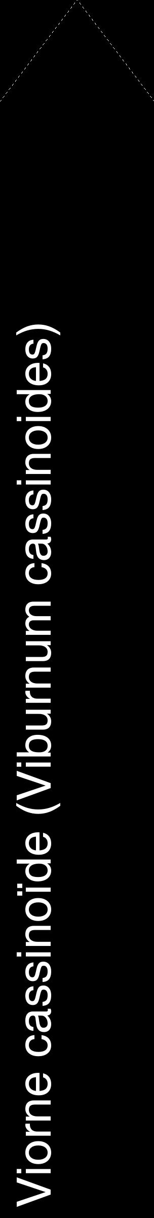 Étiquette de : Viburnum cassinoides - format c - style blanche59_simplehel avec comestibilité