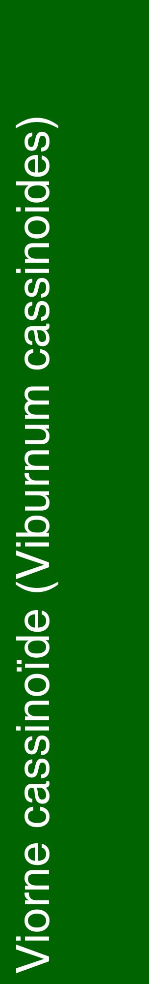 Étiquette de : Viburnum cassinoides - format c - style blanche8_basiquehel avec comestibilité