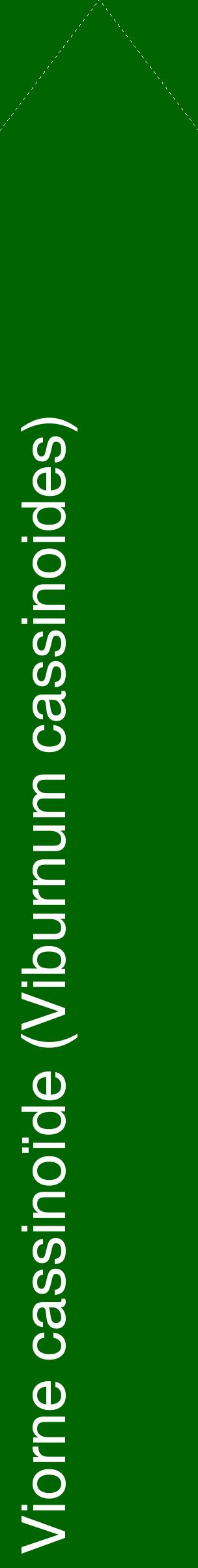 Étiquette de : Viburnum cassinoides - format c - style blanche8_simplehel avec comestibilité