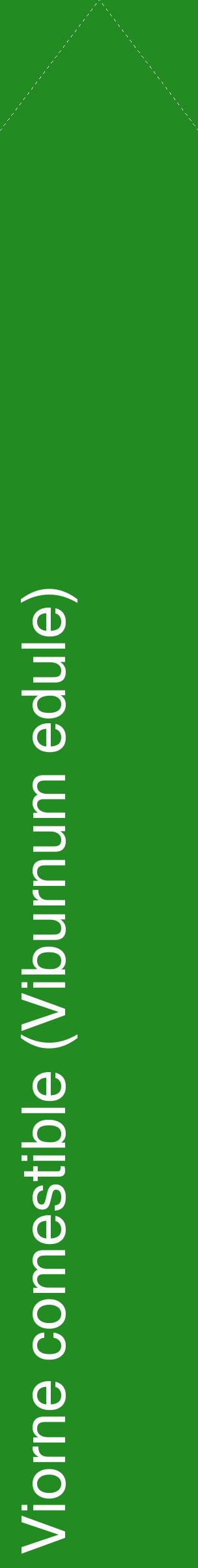 Étiquette de : Viburnum edule - format c - style blanche10_simplehel avec comestibilité