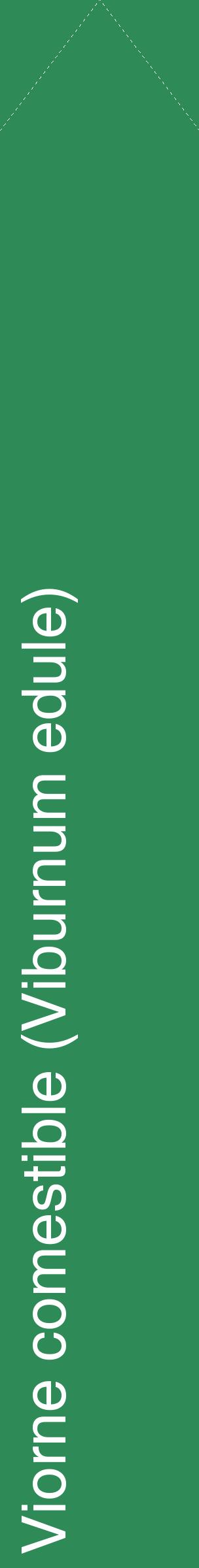 Étiquette de : Viburnum edule - format c - style blanche11_simplehel avec comestibilité