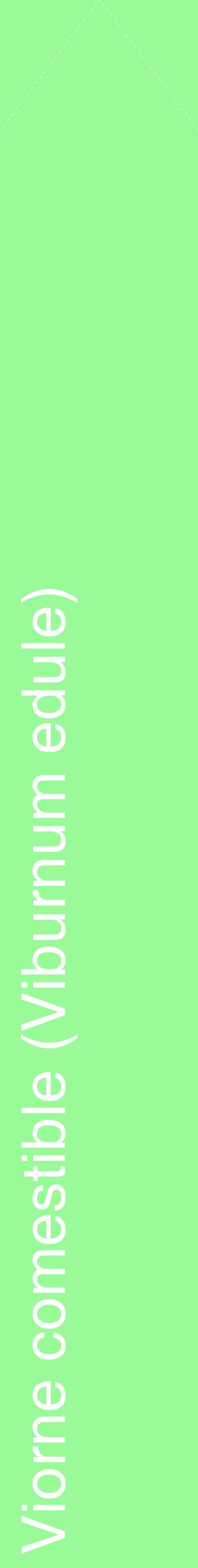 Étiquette de : Viburnum edule - format c - style blanche14_simplehel avec comestibilité