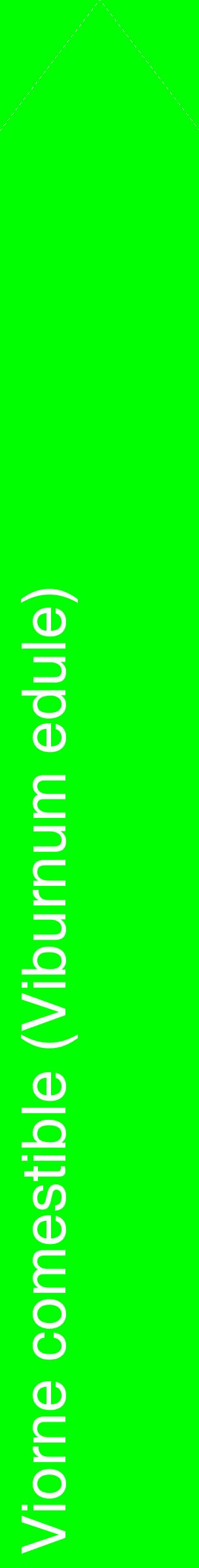 Étiquette de : Viburnum edule - format c - style blanche16_simplehel avec comestibilité