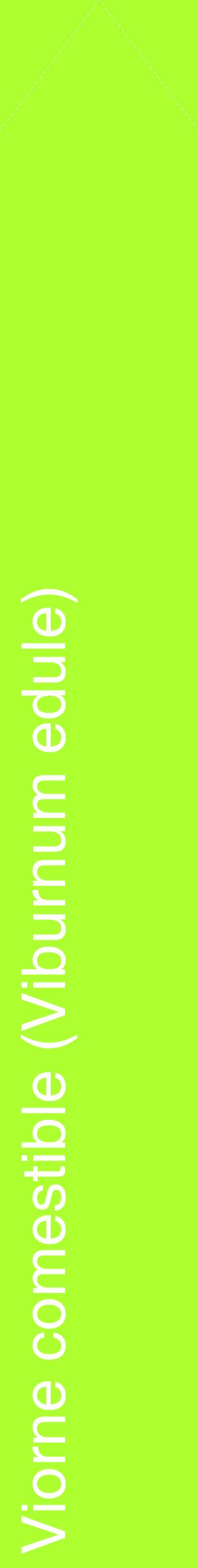 Étiquette de : Viburnum edule - format c - style blanche17_simplehel avec comestibilité