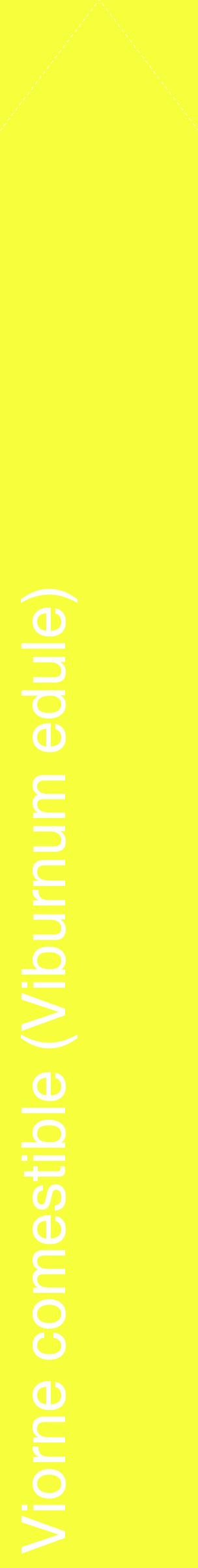 Étiquette de : Viburnum edule - format c - style blanche18_simplehel avec comestibilité
