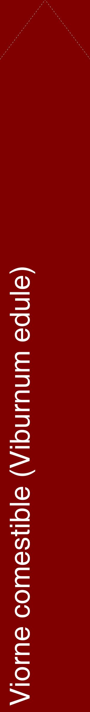 Étiquette de : Viburnum edule - format c - style blanche29_simplehel avec comestibilité