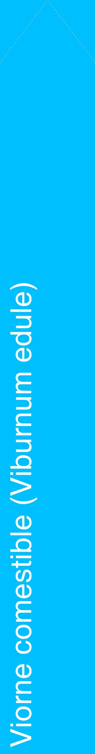 Étiquette de : Viburnum edule - format c - style blanche2_simplehel avec comestibilité